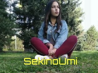 SekinoUmi