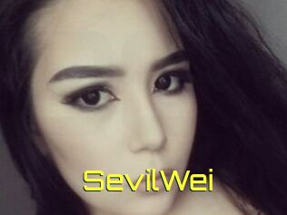 SevilWei