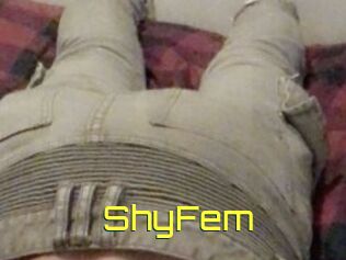 ShyFem