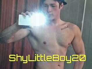 ShyLittleBoy20