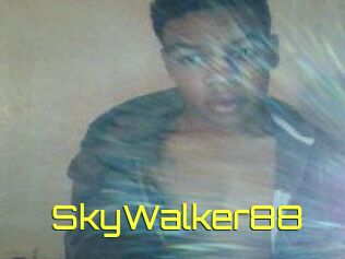 SkyWalker88