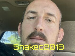 Snakec2018