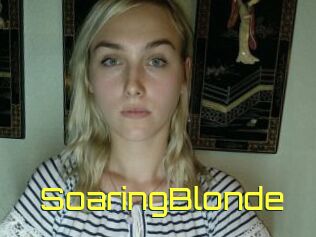 SoaringBlonde