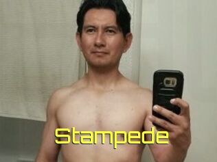 Stampede