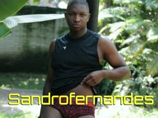 Sandrofernandes