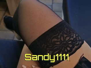 Sandy1111