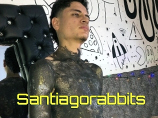 Santiagorabbits