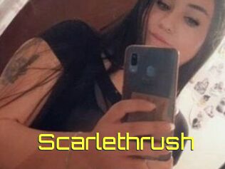 Scarlethrush