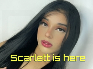 Scarlett_is_here