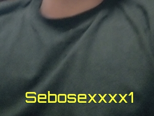 Sebosexxxx1