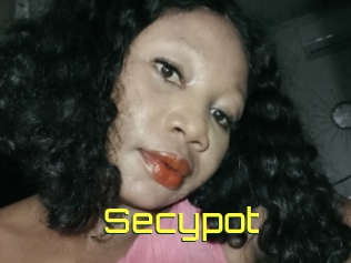 Secypot