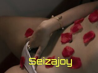 Seizajoy