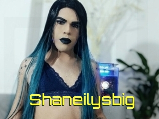 Shaneilysbig