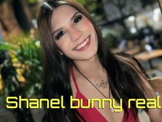 Shanel_bunny_real