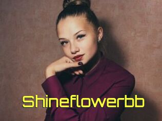 Shineflowerbb