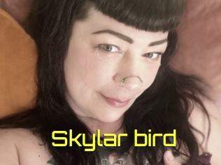 Skylar_bird