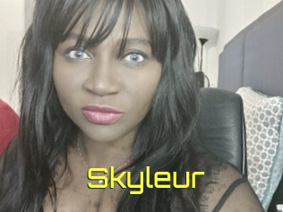 Skyleur