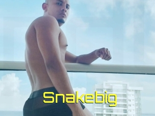 Snakebig