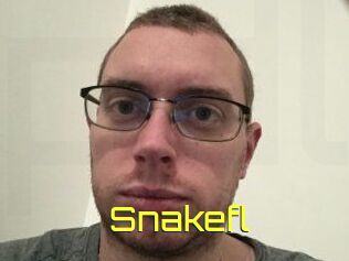 Snakefl