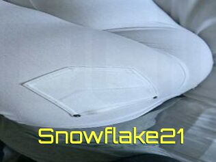 Snowflake21