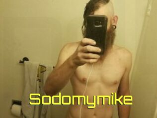 Sodomymike