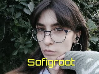 Sofigroot