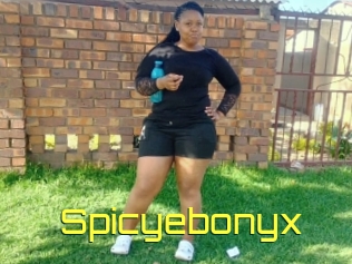 Spicyebonyx