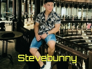 Stevebunny