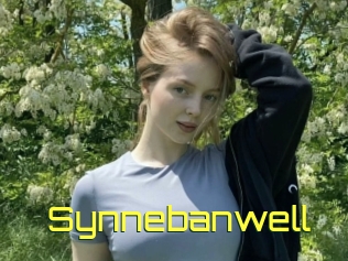 Synnebanwell