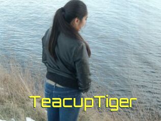 TeacupTiger