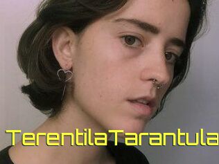 TerentilaTarantula