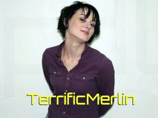 TerrificMerlin