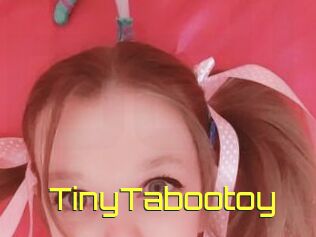 TinyTabootoy