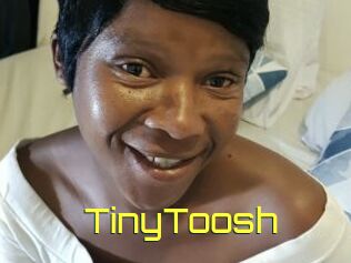 TinyToosh