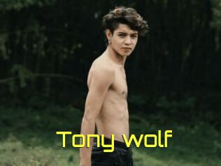 Tony_wolf