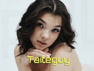 Taiteguy