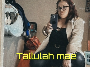 Tallulah_mae