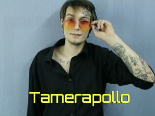 Tamerapollo