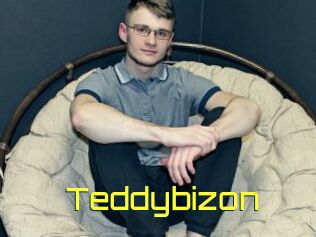 Teddybizon