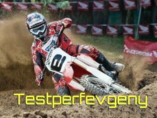 Testperfevgeny
