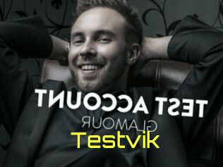 Testvik