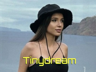 Tinydream