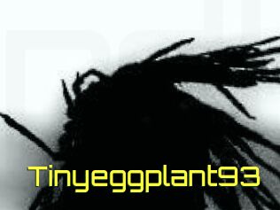 Tinyeggplant93