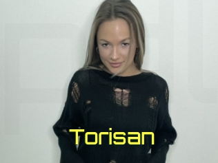 Torisan