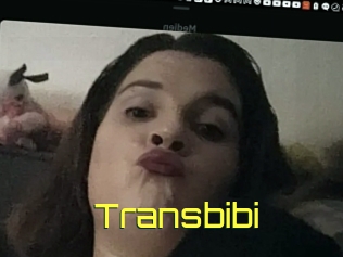 Transbibi