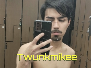 Twunkmikee