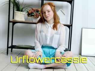 Urflowercassie