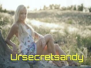 Ursecretsandy