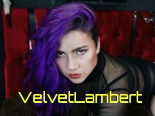 VelvetLambert