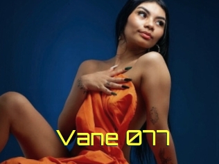 Vane_077